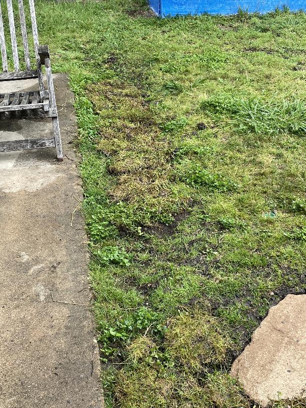Bare spot fill