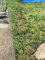 Bare spot fill