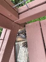 Detail of rot in a sleeper 