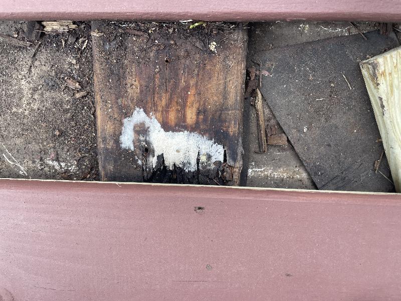 rot in another sleeper 