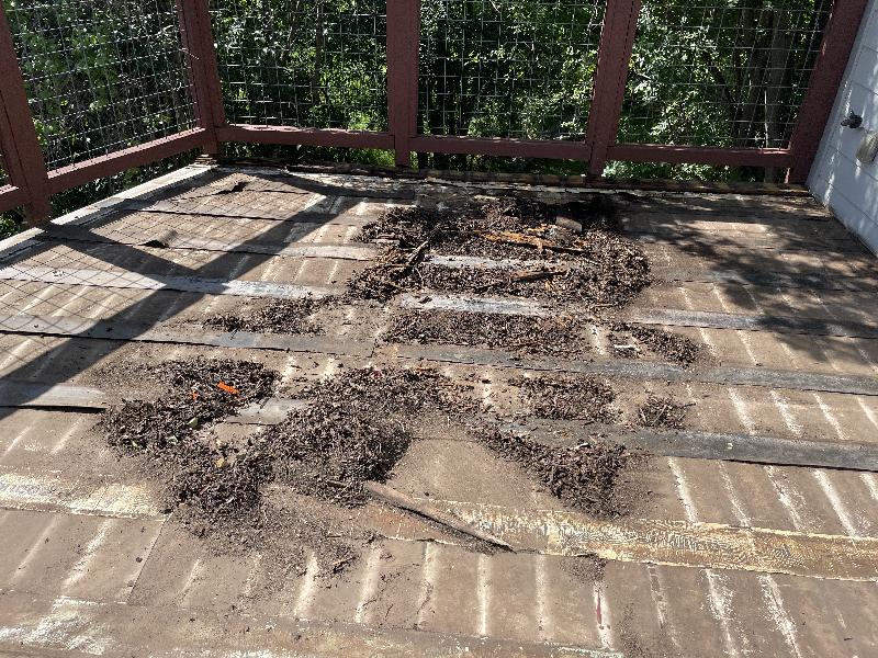 Sweeping up all the debris. It was a lot! 