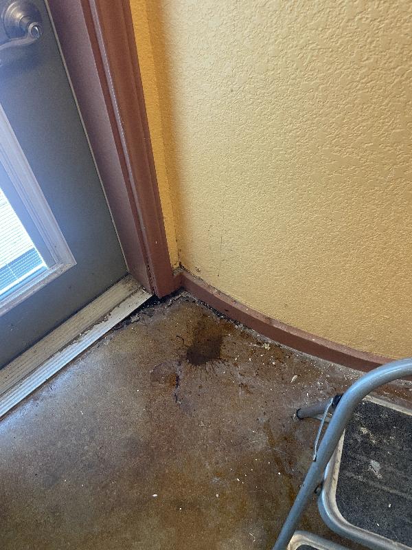 Cleaning reveals one path for water ingress.