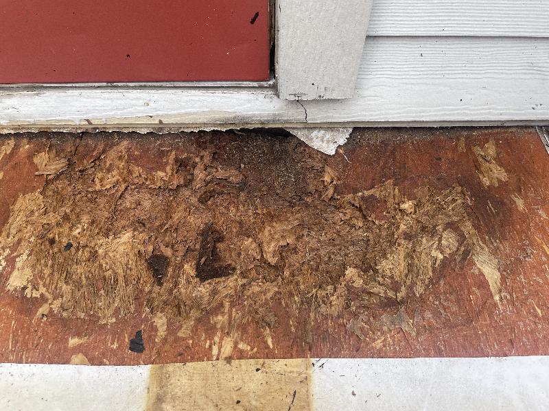 Detail of larger water damaged area 