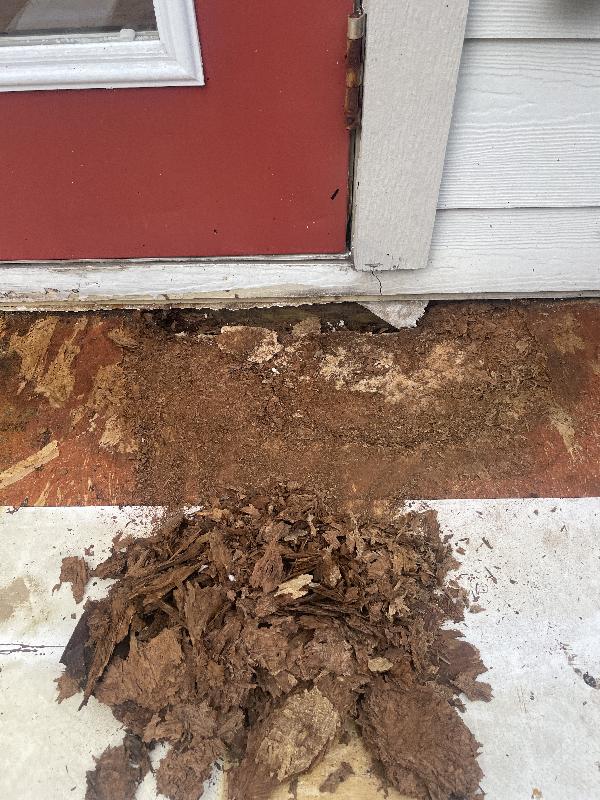 The OSB roof came apart in my fingers 