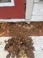 The OSB roof came apart in my fingers 