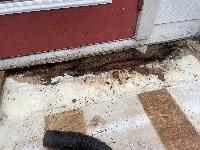 After cutting away the OSB to undamaged wood, spray-in insulation is revealed. 