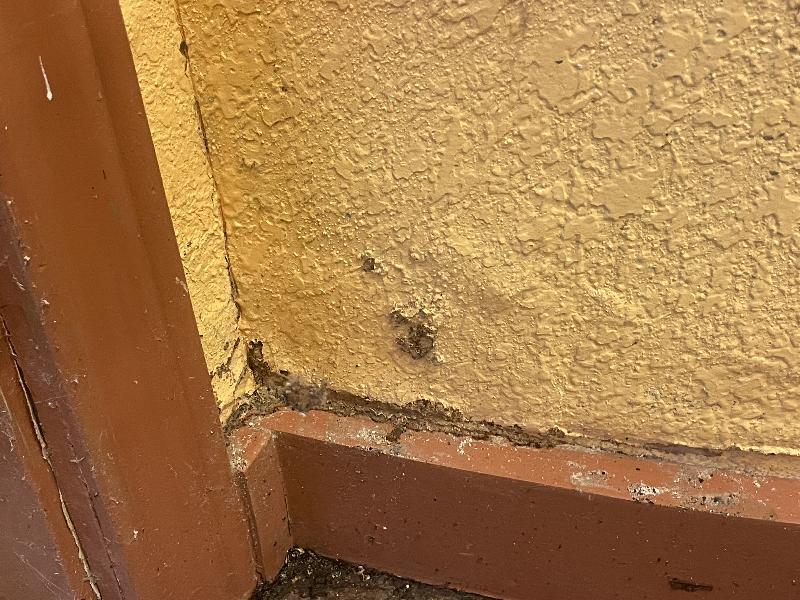 This whole wall will need to be redone 