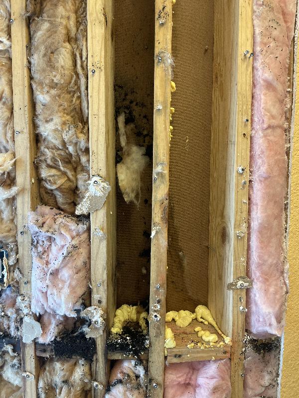 Water damage to masonite 