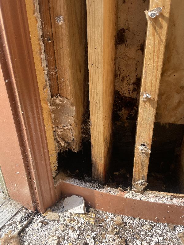 The double stud here is completely gone at the bottom, as is the next regular stud. 