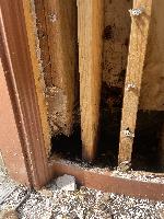 The double stud here is completely gone at the bottom, as is the next regular stud. 