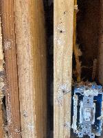 Hard to see, but there is rot along the back of the studs 