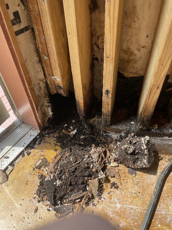 Digging out more dirt and some spray in insulation  