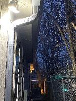   (20240403-093238.jpg)