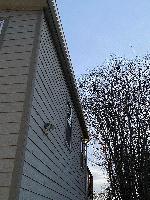   (20240403-093244.jpg)