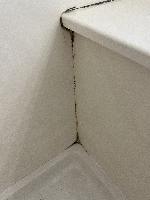 more mold 