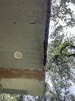 Some water damage in this eave 