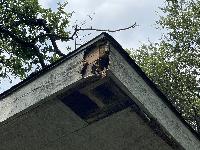 Critter/water damage at the corner. Main task. 
