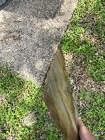 Thin plywood 