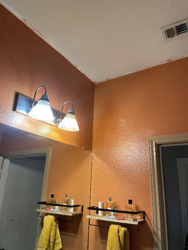 Ceiling paint would be nice 