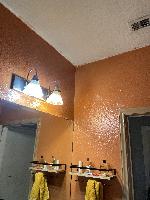 Ceiling paint would be nice 