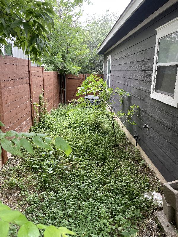 Yard on the side needs some love 