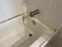 The owner thought he might have to replace the tub surround. 
