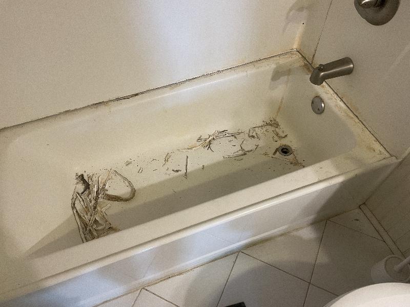 Multiple layers of caulk and lots of mold and nasty stuff. 
