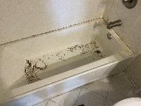 Multiple layers of caulk and lots of mold and nasty stuff. 
