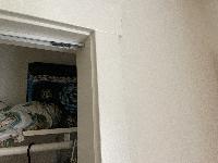 Trim around existing closet 