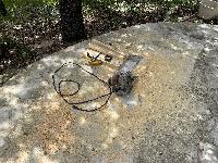More sawdust. 