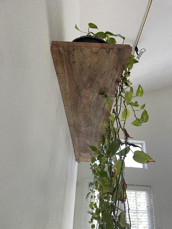 Installed with plants from underneath 