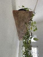 Installed with plants from underneath 