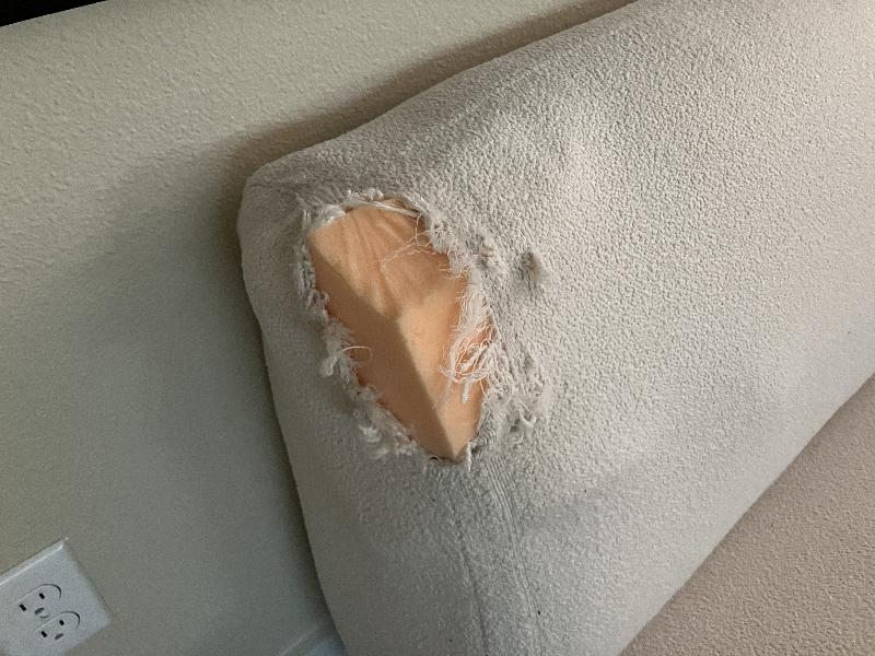 The doggo shredded the inside foam too, so that needed to be re-filled.
