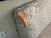 The doggo shredded the inside foam too, so that needed to be re-filled.