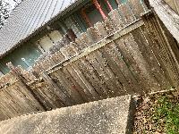 20250207-113806