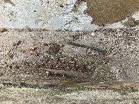 20250604-095851