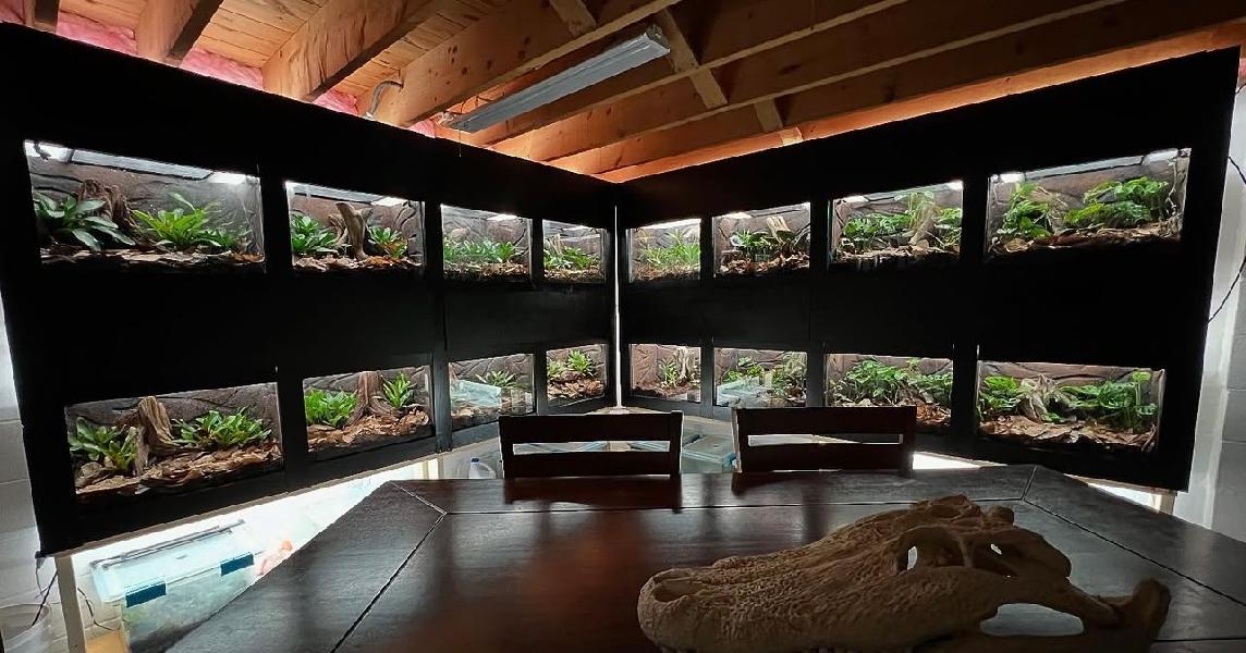 Design inspiration