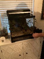 Showing me how the enclosures open