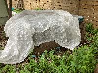 20250403-092049