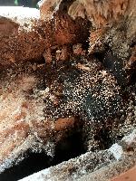 20250506-104520