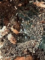 20250506-104524