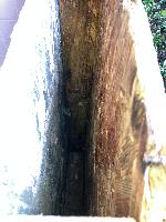 20250506-111843
