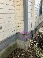 Here, some damage to the corner trim (1x4), the bottom drip edge (special profile) and the bottom skirt (1x12)