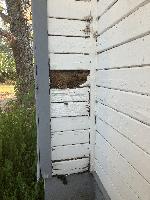 Pretty extensive damage here. 