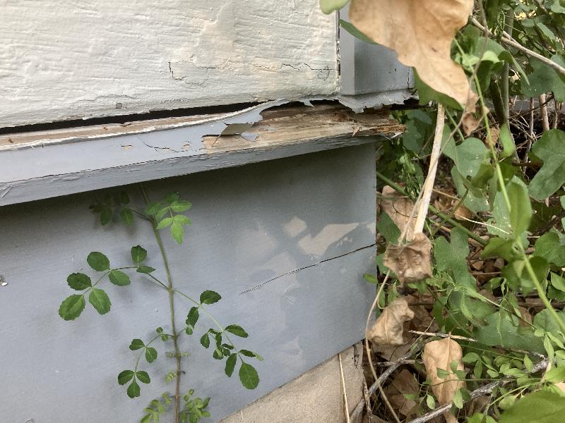 This 'drip edge' goes all the way around the house and is damaged in several areas. 