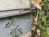 This 'drip edge' goes all the way around the house and is damaged in several areas. 