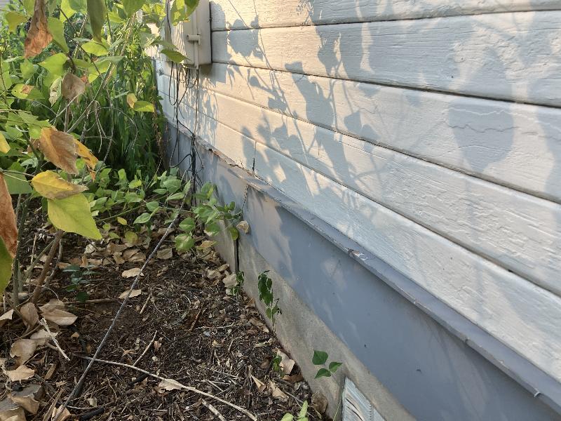 Another view showing drip edge damage all along here. 