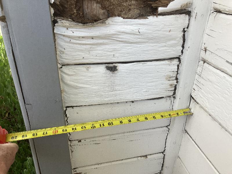 These are each about 1 foot 