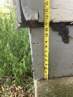 20250924-153930 (20250924-153930.jpg)