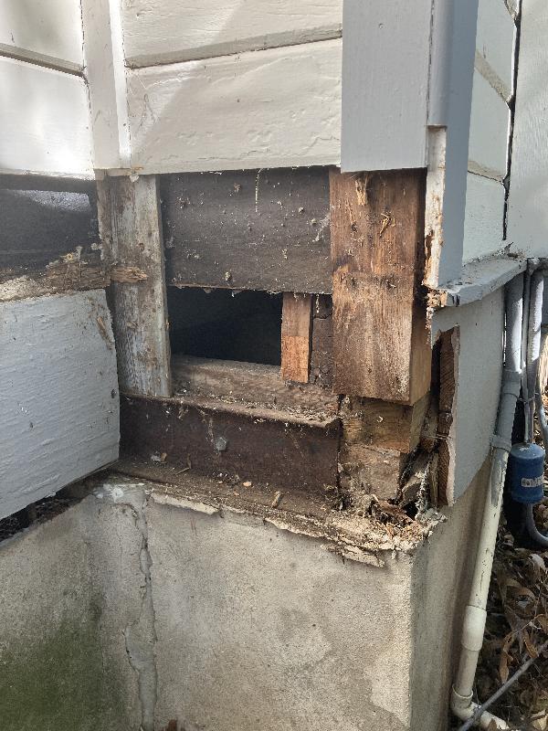 Closeup of the corner after removing rotted stuff. 